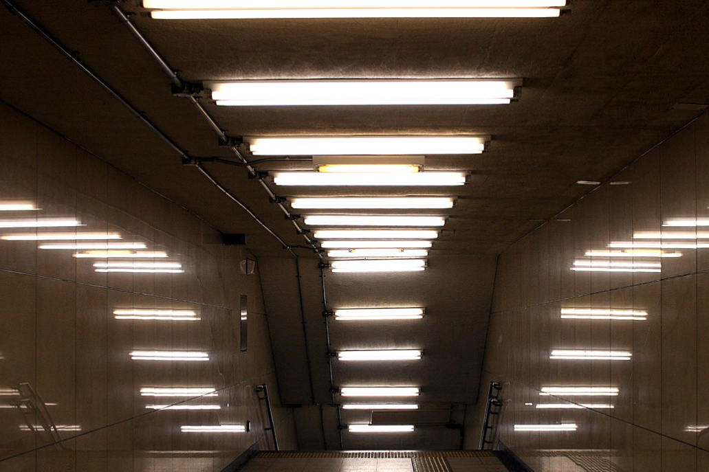 Fluorescenčná lampa: T5 & T8 Fluorescent Tube Rod